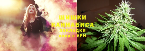 МДПВ Алзамай
