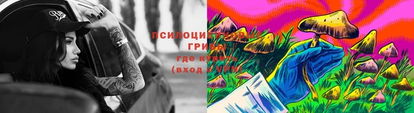 амф Алексин