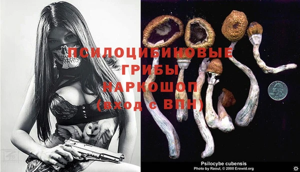 МДПВ Алзамай
