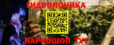 ПСИЛОЦИБИНОВЫЕ ГРИБЫ Коммунар