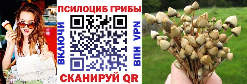 Псилоцибиновые грибы MAGIC MUSHROOMS  наркота  Йошкар-Ола 