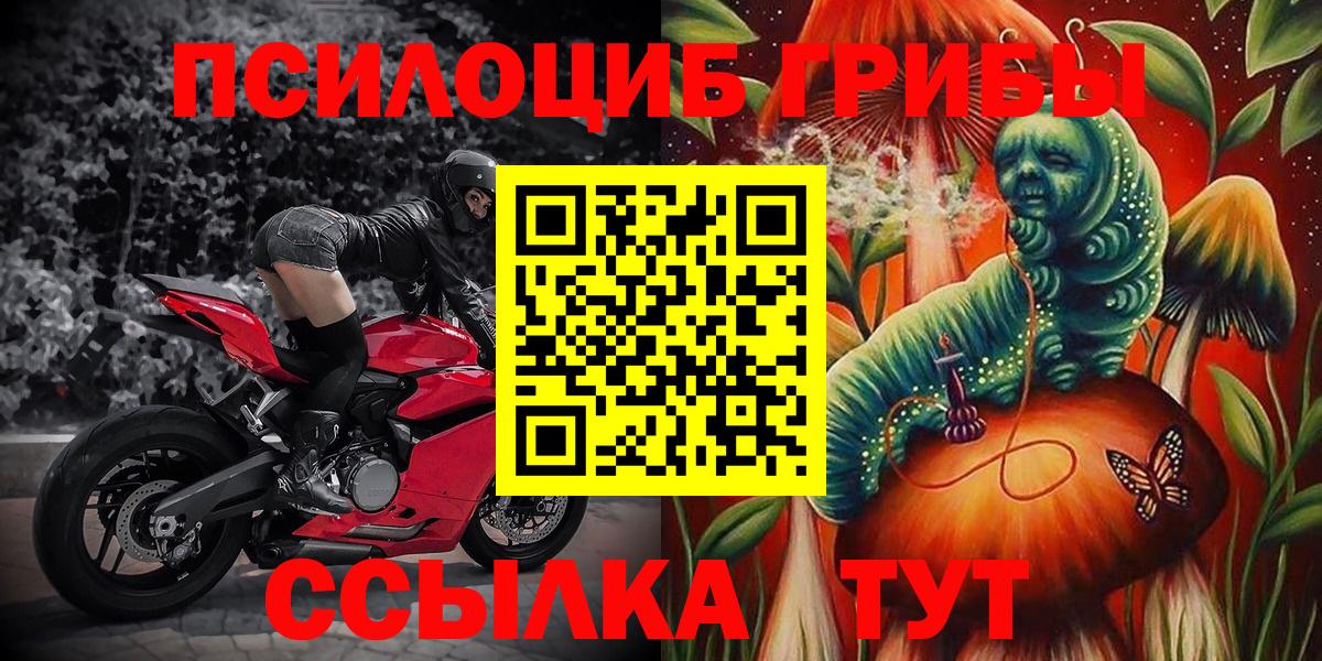 Псилоцибиновые грибы Cubensis Йошкар-Ола