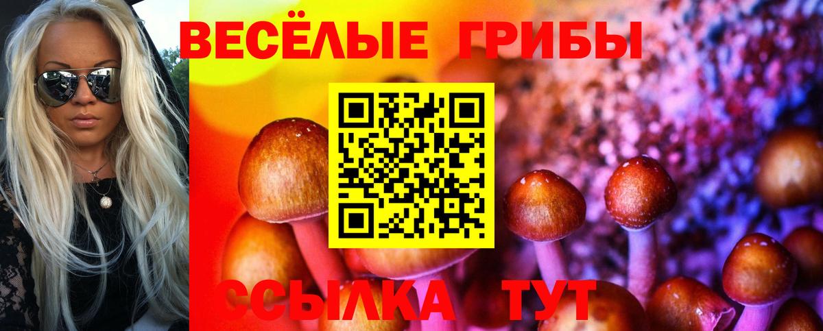 Галлюциногенные грибы прущие грибы  Псилоцибиновые грибы ЛСД  Йошкар-Ола  Вход с VPN 
